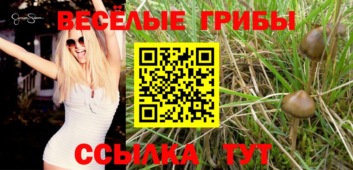 Галлюциногенные грибы ЛСД  Галлюциногенные грибы Psilocybe  Вход с VPN  Зерноград 
