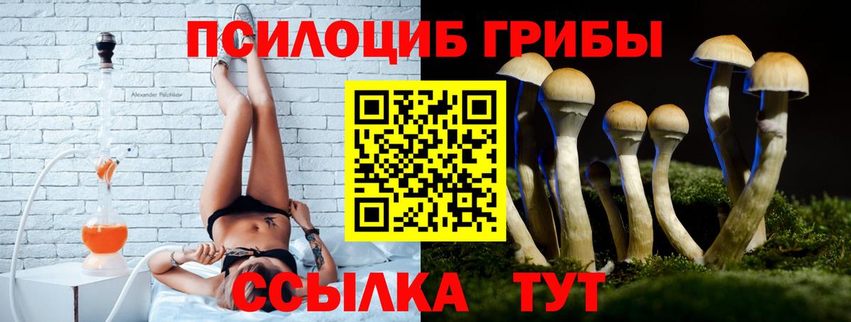 Галлюциногенные грибы GOLDEN TEACHER Зерноград